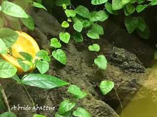 Une journée à Thoiry, épisode 3 Une journée à Thoiry, épisode 3