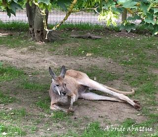 Une journée à Thoiry, épisode 3