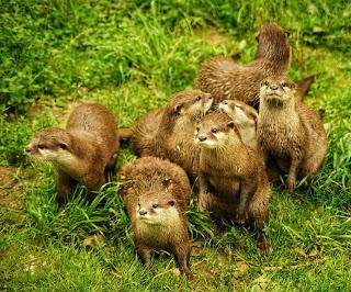 Une journée à Thoiry, épisode 3