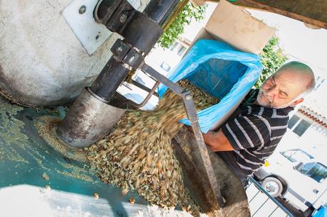 Moulin à huile... de noix