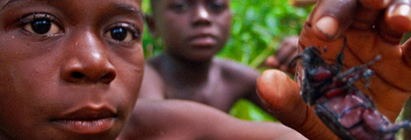 ...on rencontre le port