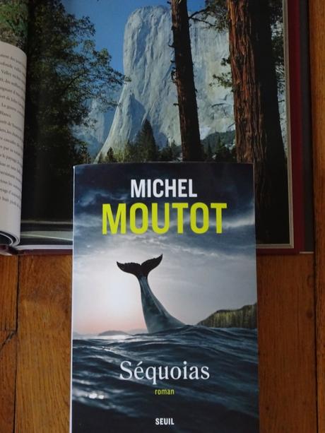 Séquoias de Michel MOUTOT