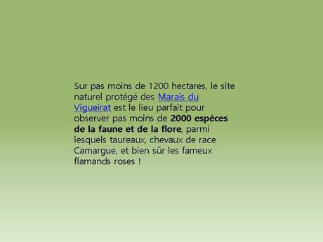 Divers - Quel beau Pays La France - 2