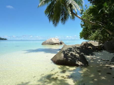 https://voyagestousrisques.blogspot.com/2018/08/seychelles-les-plus-belles-plages.html