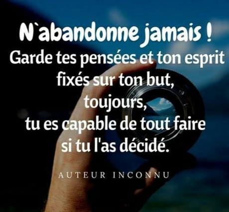 N’abandonne jamais !