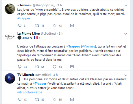 #Trappes : Petite brochette de bas du front pris la main dans le sac à vomi #Trappes : Petite brochette de bas du front pris la main dans le sac à vomi