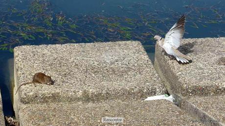 Pays Etranger - L'Andalousie - 3