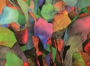 Galerie Ombre Lumière VENTEROL (drôme) 16/09 14/10/2018- exposition Edouard MONOT