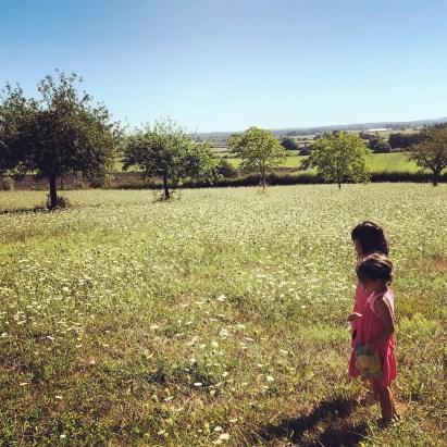 vacances a la campagne