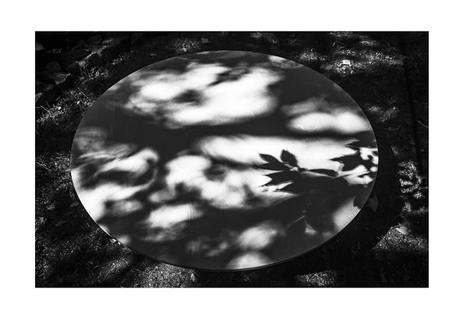 Jardin intime no. 1- 2- 3-