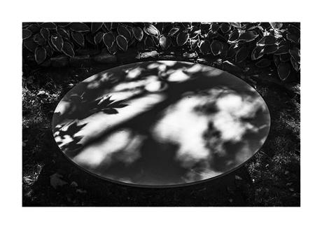 Jardin intime no. 1- 2- 3-