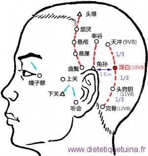Le point Fu Bai du méridien de la vésicule biliaire (10VB)