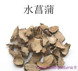 Le rhizome de l’acore odorant (Shui Chang Pu)