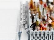 Découvrez boite mouches Ripplebox