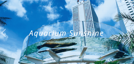Visitez le « sunshine aquarium » à Tokyo