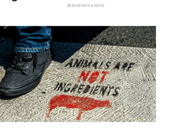 #Calais #veganisme Chasseurs, assassins maintenant terroristes…