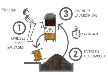 Préparez-vous : les urinoirs qui font pousser les fleurs débarquent sur Paris !