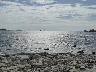 Retour sur une quinzaine en Bretagne - Images choisies