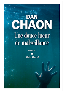 Une douce lueur de malveillance · Dan Chaon