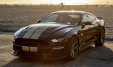 Ford Mustang Shelby GT 2019