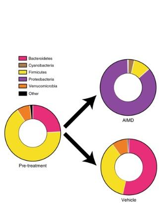 MICROBIOME et DIABÈTE : Manipuler les bactéries pour réduire la glycémie