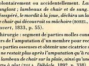 Lambeau Philippe Lançon, chroniqueur Charlie Hebdo, livre lire d'une traite.