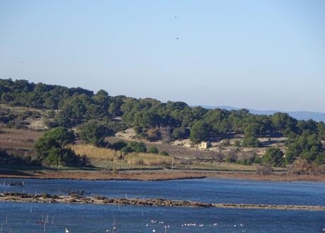 Gruissan