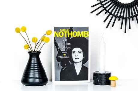 Les Prénoms épicènes, d’Amélie Nothomb Les Prénoms épicènes, d’Amélie Nothomb