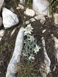 QUELQUES HAUTEURS A LA FRAÎCHE QUELQUES HAUTEURS A LA FRAÎCHE