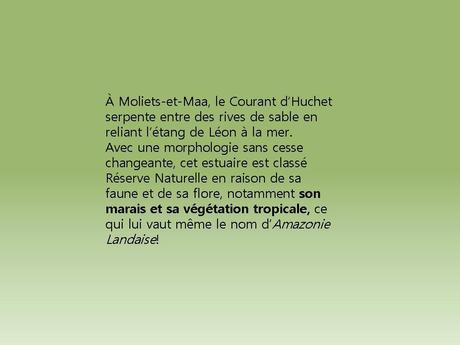 Divers - Quel beau Pays La France - 3