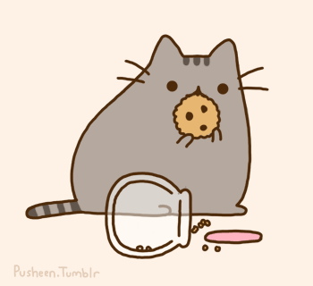Cookies au chocolat. Cookies au chocolat.