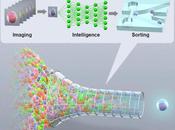 #Cell #exclusif #tricellulaire #insilico Cellulaire Intelligent Activé l’Image