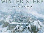 Winter Sleep Nuri Bilge Ceylan
