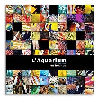 Récapitulatif de lectures de vacances - Août 2018