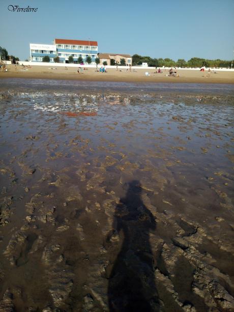 Récapitulatif de lectures de vacances - Août 2018