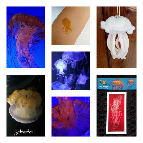 Récapitulatif de lectures de vacances - Août 2018