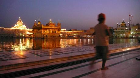 vivant la meilleure école de la vie vivant la meilleure école de la vie