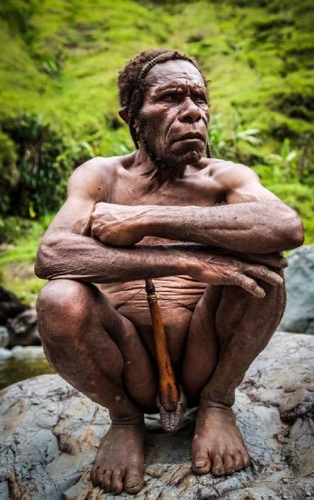 vivant la meilleure école de la vie vivant la meilleure école de la vie