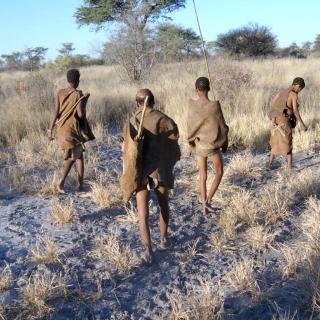 « NE RIS PAS DU CROCODILE AVANT D’AVOIR TRAVERSE LA RIVIERE ! »L’ANIMAL DANS LA PENSEE AFRICAINE(1) « NE RIS PAS DU CROCODILE AVANT D’AVOIR TRAVERSE LA RIVIERE ! »L’ANIMAL DANS LA PENSEE AFRICAINE(1)
