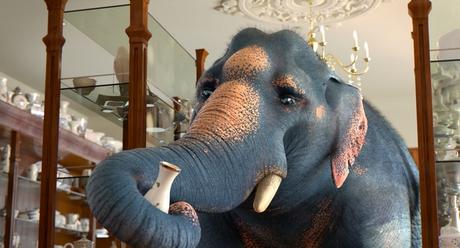 Court Métrage du Dimanche – Comme un éléphant dans un magasin de porcelaine