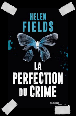 Affaire n°393: perfection crime