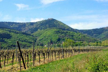 Mont Sainte-Odile