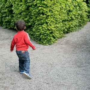 5 grands paradoxes du développement personnel… et comment les éviter 5 grands paradoxes du développement personnel… et comment les éviter