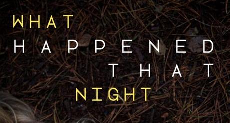 Thriller young adult What happened that night