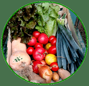 Cultivez des épinards, naturellement Cultivez des épinards, naturellement