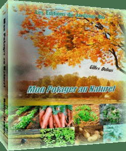 Cultivez des épinards, naturellement Cultivez des épinards, naturellement