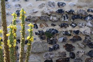 Une journée dans la Baie de Somme Une journée dans la Baie de Somme