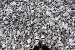 Une journée dans la Baie de Somme Une journée dans la Baie de Somme