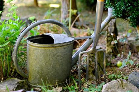 5 idées pour bien aménager son jardin ! 5 idées pour bien aménager son jardin !