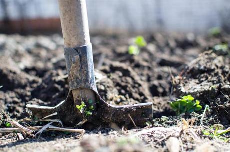 5 idées pour bien aménager son jardin ! 5 idées pour bien aménager son jardin !